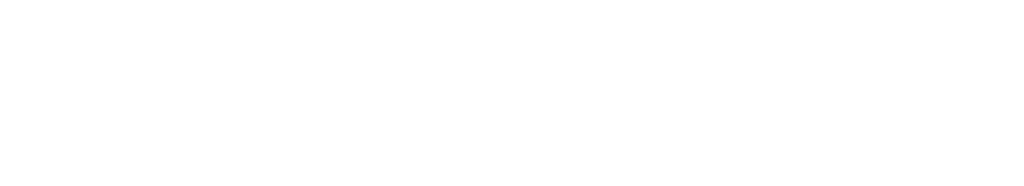 Strong Alliance - Logo Footer